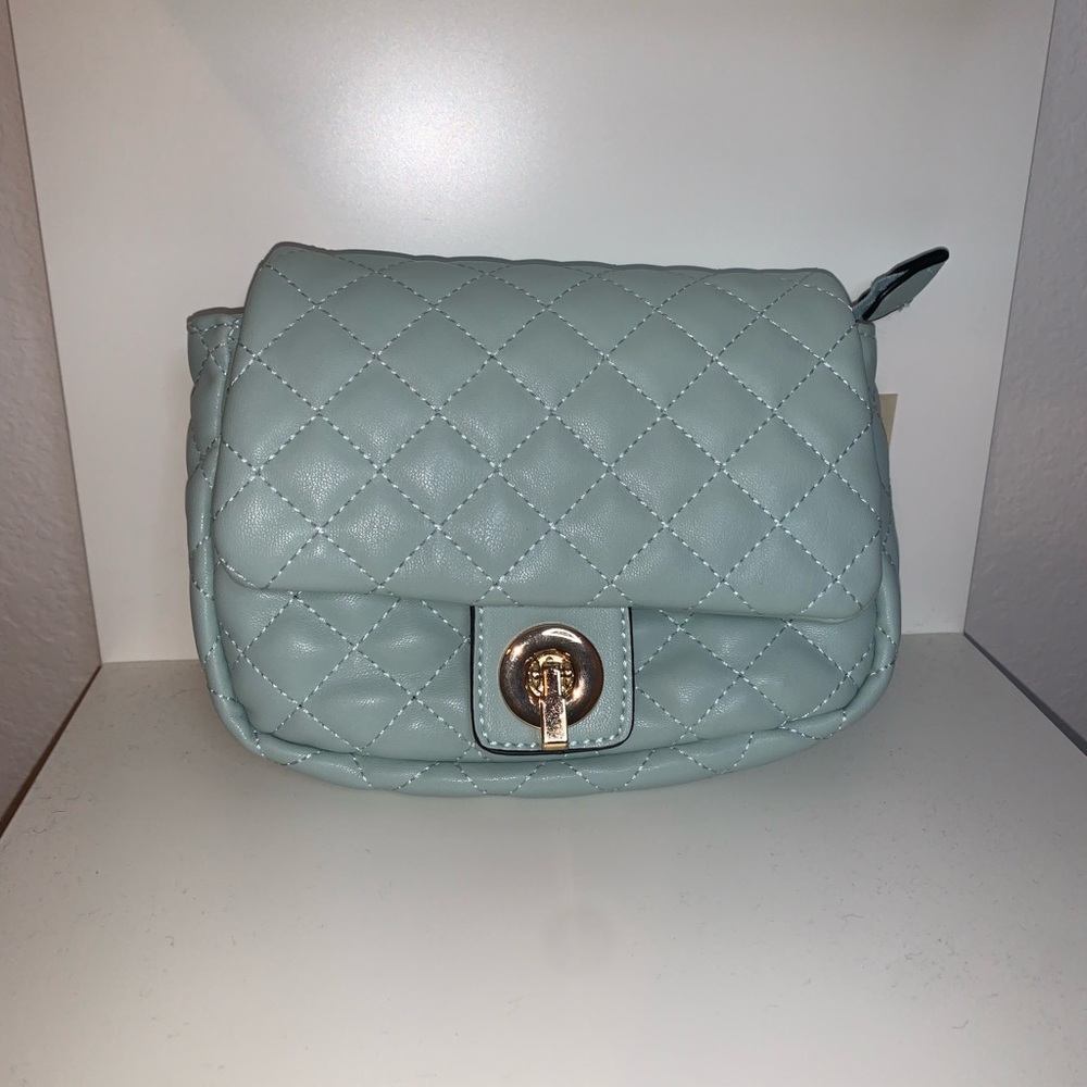 Classy Turquoise Fanny pack